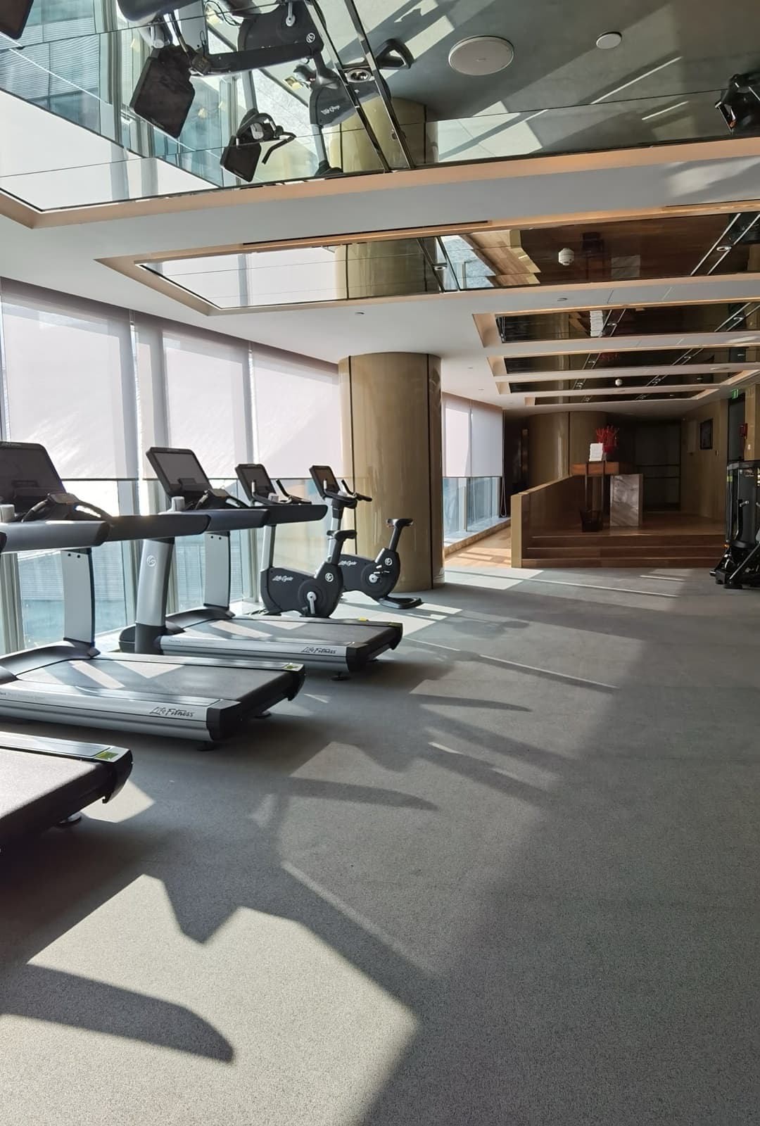 SPORTEC purcolor grey gym floor